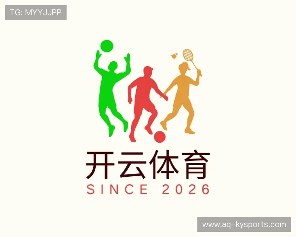 发现开云体育官网入口